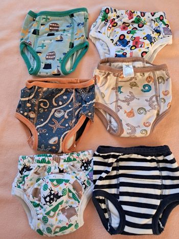 Culottes d'apprentissage