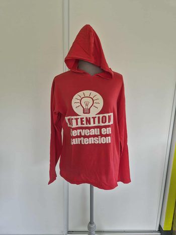 Pull léger / sweat shirt à capuche humour
