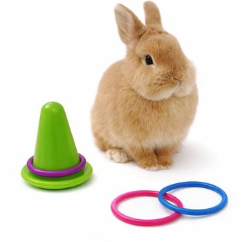 Jouet d’exercice lapin – Anneaux colorés à mâcher (x6)