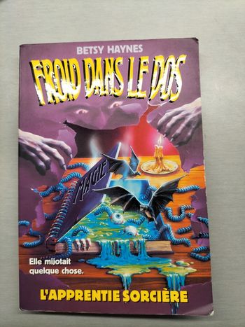 Livre Froid dans le dos - L'apprentie sorcière - B. Haynes