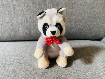 Peluche Raton Laveur