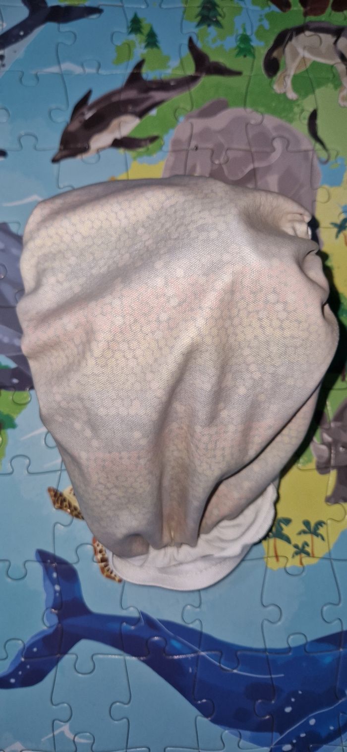 Couche Mama Koala - photo numéro 3