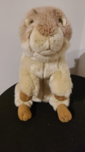 Peluche Marmotte Siffleuse