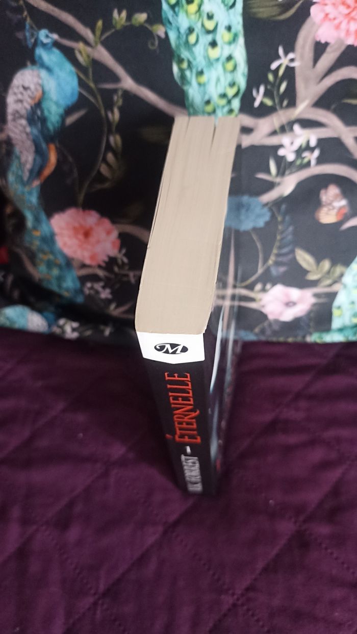 Livre Éternelle Le clan Kahill Tome 1 - photo numéro 4