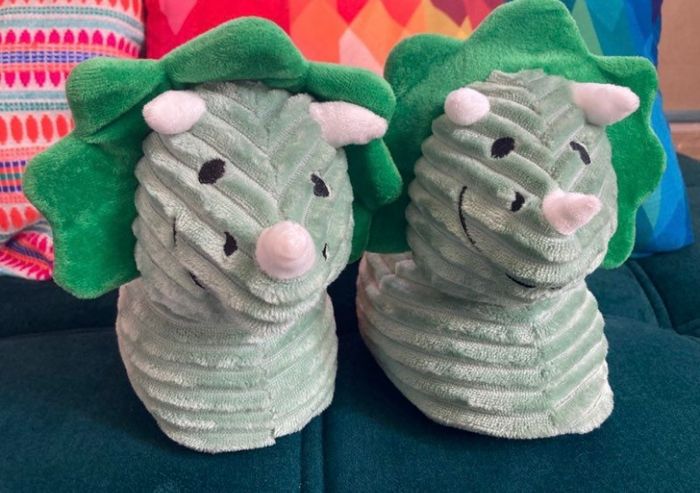 Chaussons dinosaures - photo numéro 7