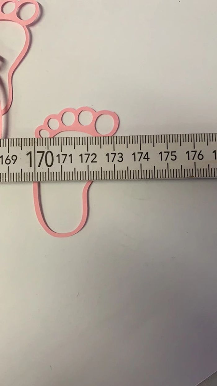 Scrapbooking 35 pieds roses - photo numéro 2