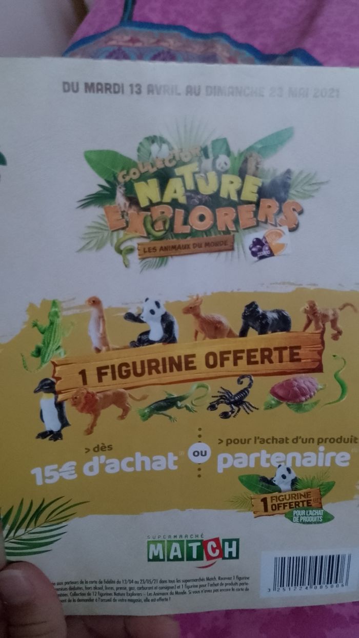 Album collector Nature explorers Les animaux du monde - photo numéro 6