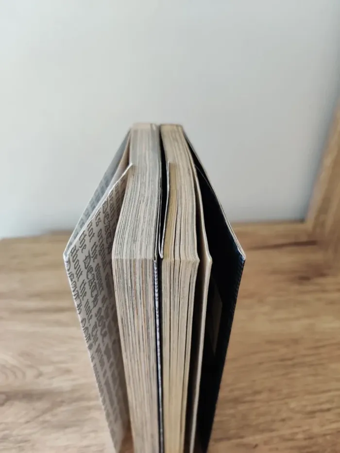 Manga Death Note - tomes 1 et 2 - photo numéro 4