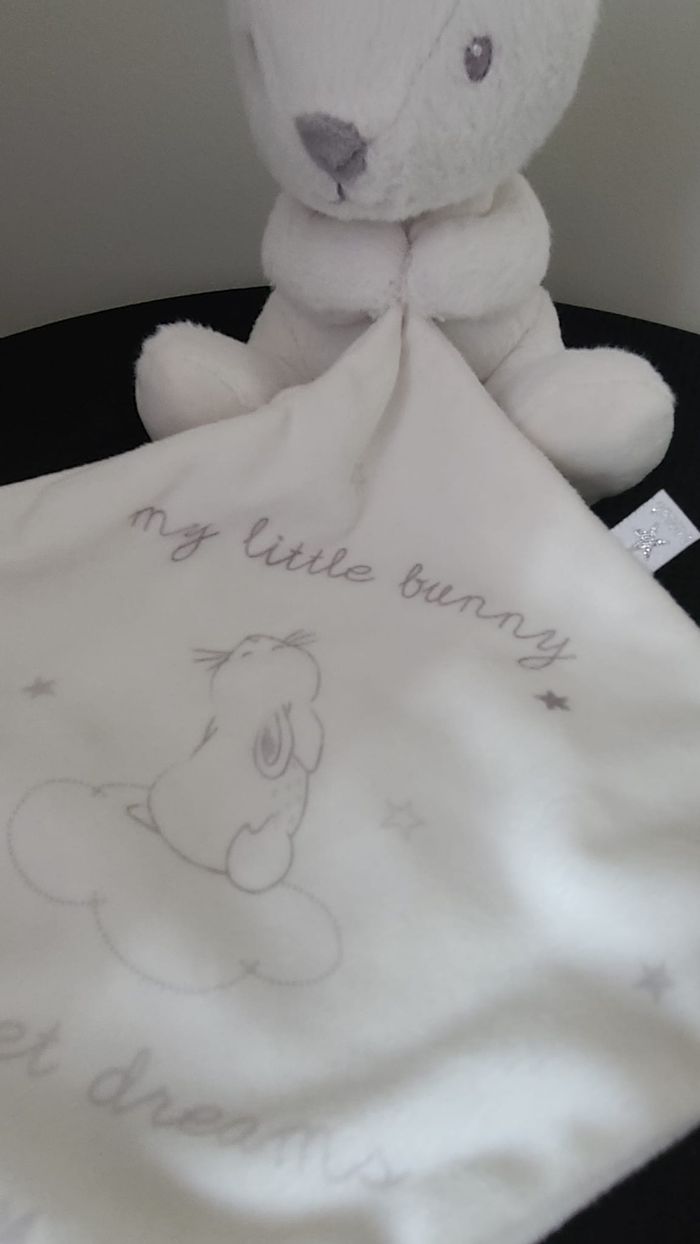 doudou lapin - photo numéro 5