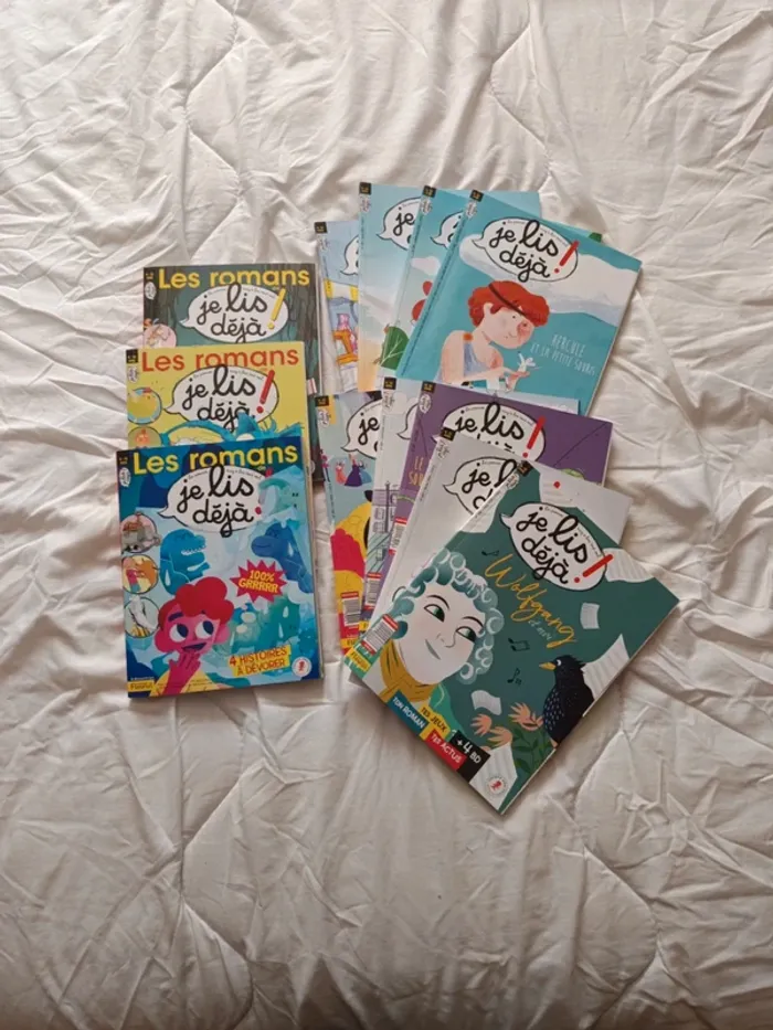 Lot 12 livres je lis déjà