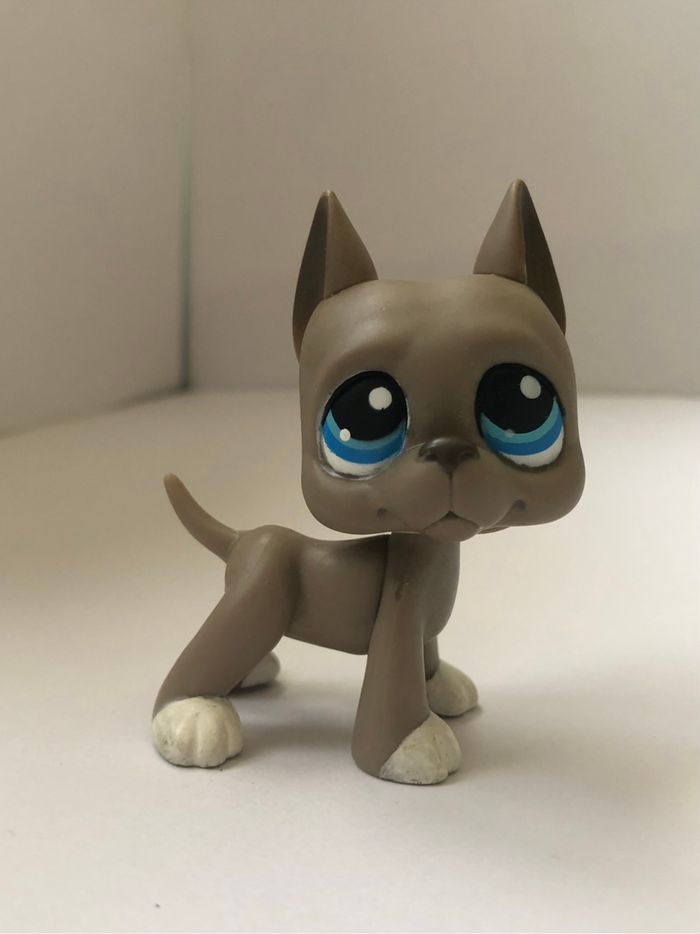 Pet shop : danois #184