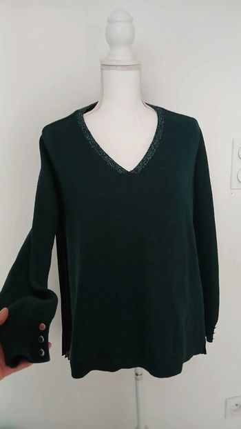 Pull dos transparent morgan