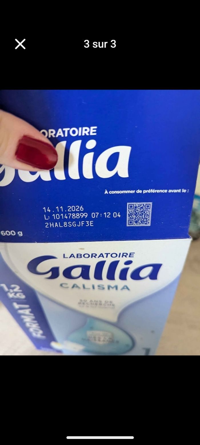 Gallia calisma - photo numéro 3