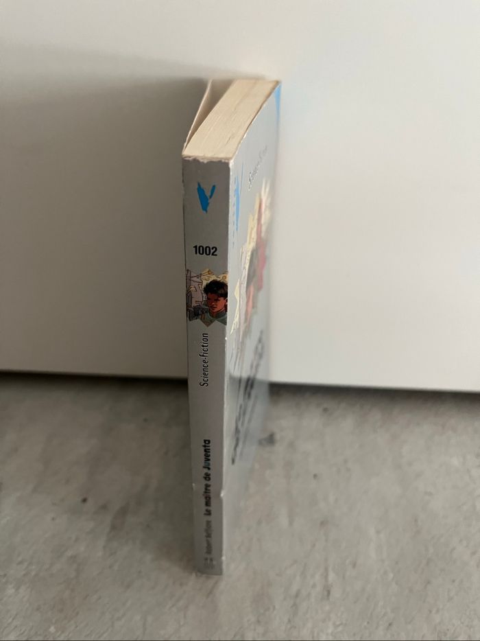 Le maître de Juventa de Robert Belfiore - photo numéro 3
