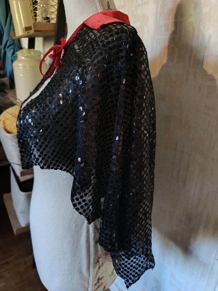 Déguisement: Cape - Taille Unique - photo numéro 3