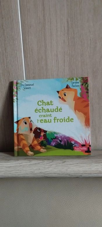 Chat échaudé craint l'eau froide