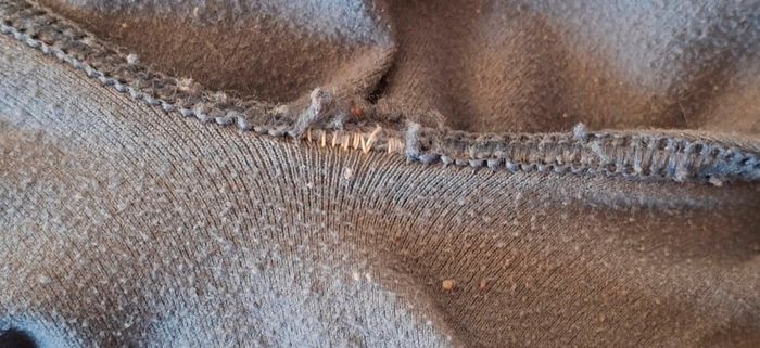 Legging - photo numéro 3