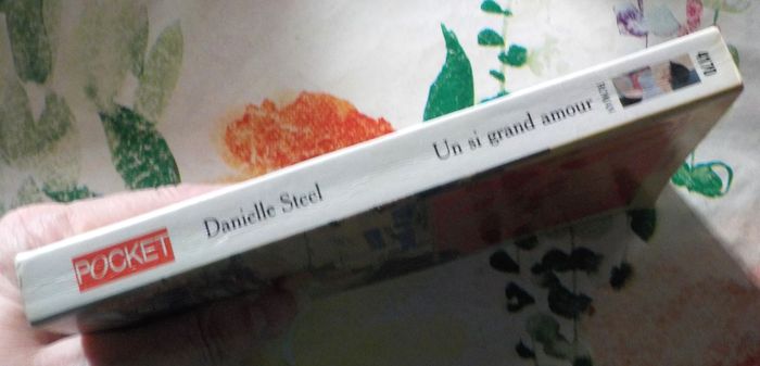 UN SI GRAND AMOUR de Danielle STEEL Ed. Pocket - photo numéro 4