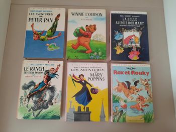 Livre bibliothèque rose DISNEY 