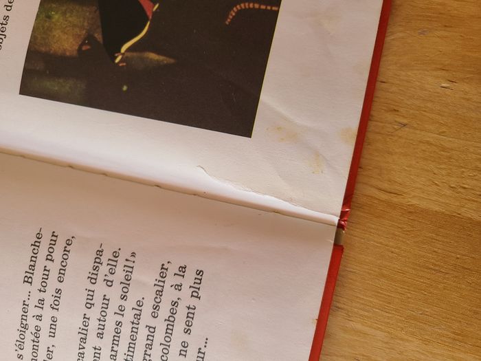 Blanche neige et les 7 nains - photo numéro 6