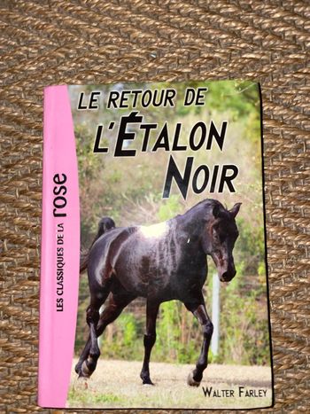 Le retour de l’étalon noir 