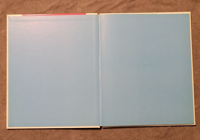 Mon corps Eric Chanton, Marie-Laure Viney (Illustrations) - photo numéro 2