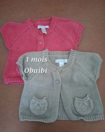 Lot 2 gilets sans manche 