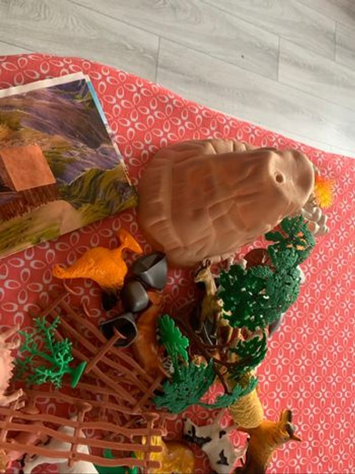 Lot animaux - photo numéro 3