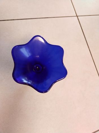 Très belle coupe bleue