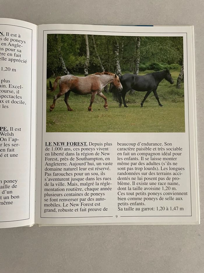 J'Aime Les Chevaux Et Les Poneys - photo numéro 4