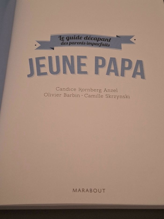 Livre " Jeune Papa "/les parents Imparfaits - photo numéro 3