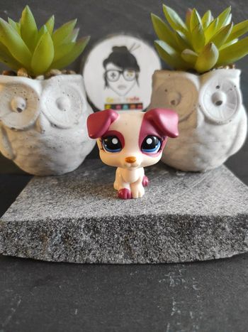 my Littlest Petshop LPS  chien dog Jack Russel 1200 hasbro  #geektradelpschien