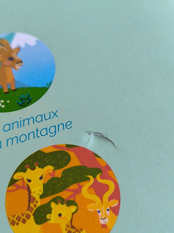 Livre Cherche et trouve chez les animaux Auzou - photo numéro 10