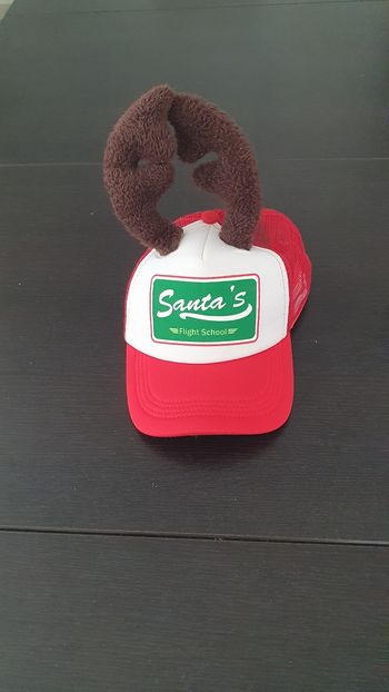 Casquette bois d'elan