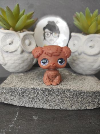 my Littlest Petshop LPS chien bichon frisé frize 39 dog #geektradelpschien