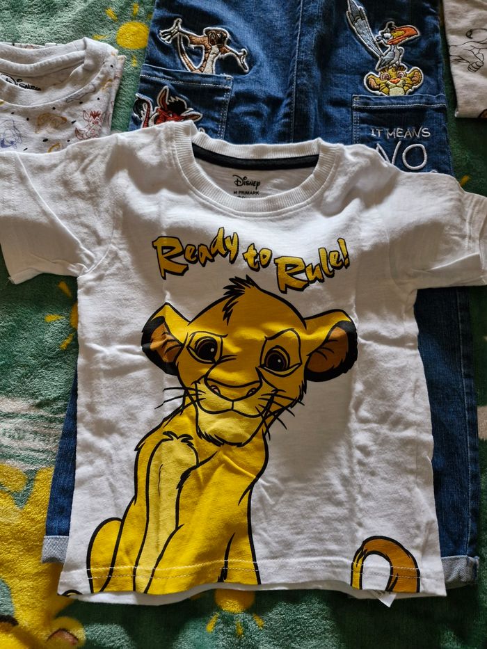 Lot roi lion - photo numéro 7