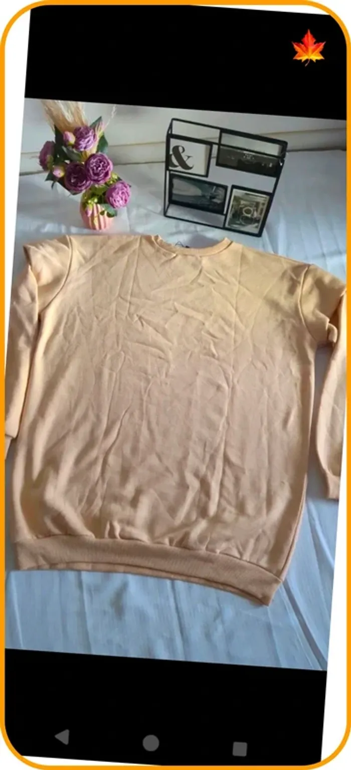 Sweat femme neuf 40 - photo numéro 6