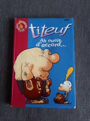 Livre enfant Titeuf Ah ouais d'accord N1179