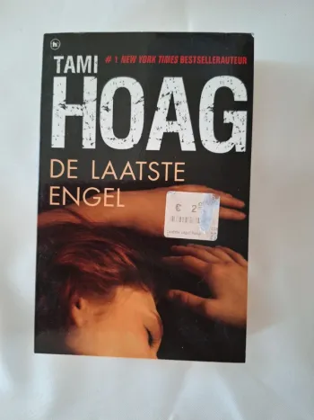 Tami Hoag De laatste engel