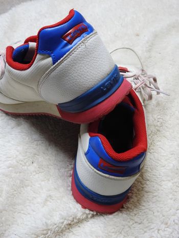 Basket Levis
