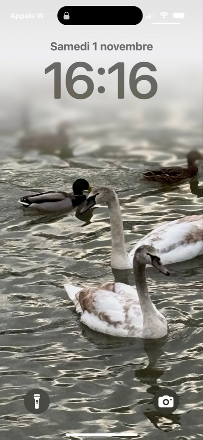Bas jogging femme - photo numéro 3
