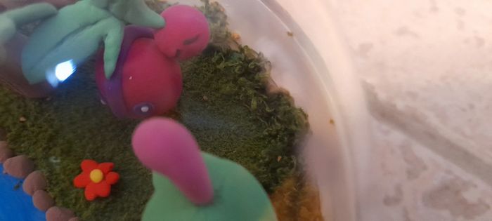 Terrarium Pokemon - photo numéro 4