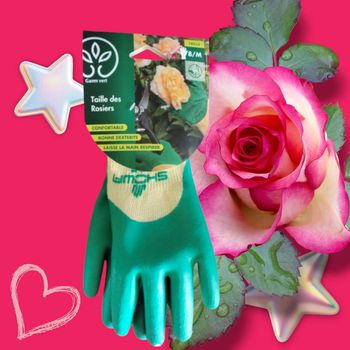 Gants Mixte - Taille de Rosier - Gamm Vert - Taille M