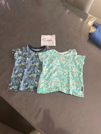 2 t-shirt manches courtes