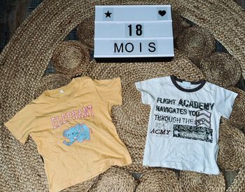 Lot tee-shirts • 18M
