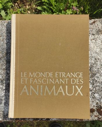 Le monde étrange et fascinant des animaux