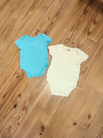 Lot bodies manches courtes