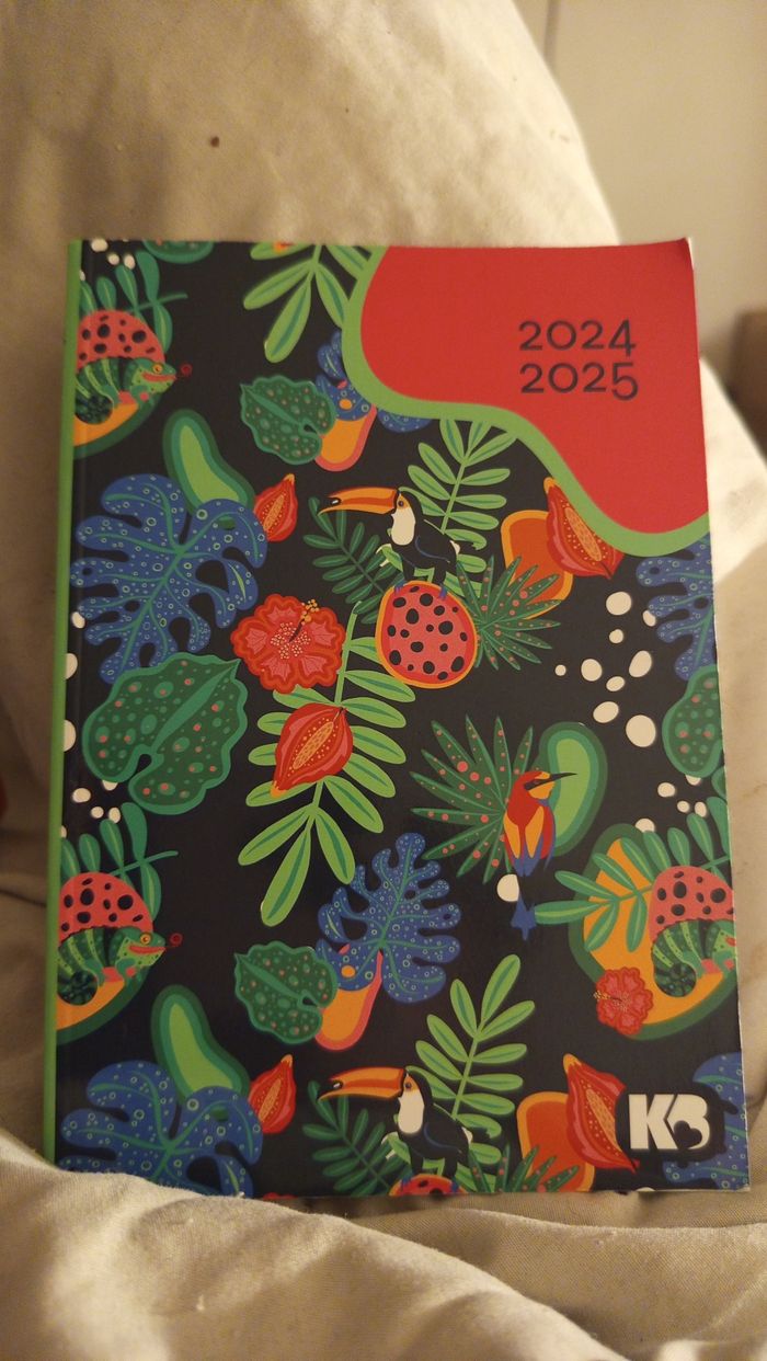 Agenda Oberthur 2024-2025 coloré et compact