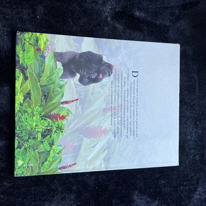 Un géant sous les arbres, le gorille - photo numéro 2