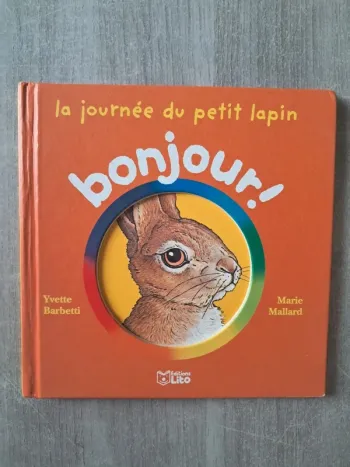Livre la journée du petit lapin bonjour édition Lito